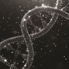 הרצאת אורח בנושא: "ראיית הדנ"א הפלילית"