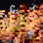 גדי דגון - צילום, מחול