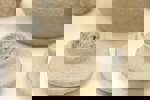 בטוב | הדס שטכלברג-שלייפר