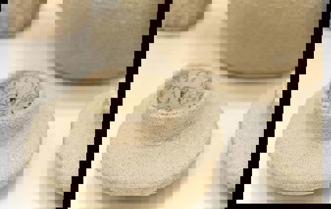 בטוב | הדס שטכלברג-שלייפר