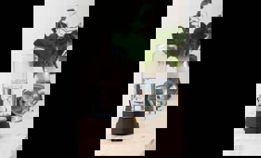 Bio | קובי חכם