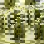 הרצאת אורח מקוונת: בחירה נכונה של חומר וערך מוצר