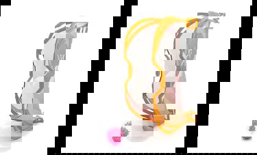 CLAP | אורטל ציטרון