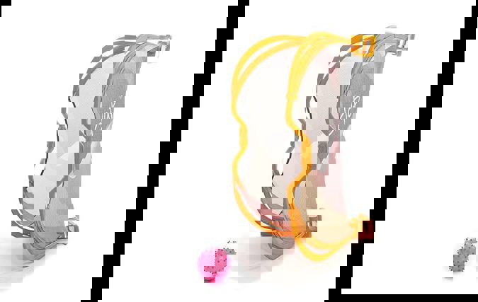 CLAP | אורטל ציטרון