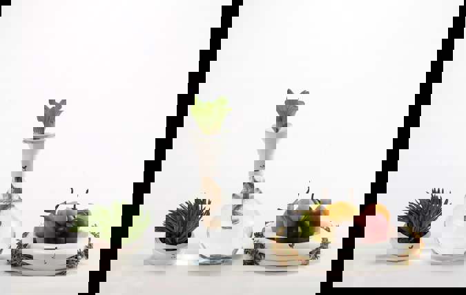 BIOSENSOR | אביגיל דור