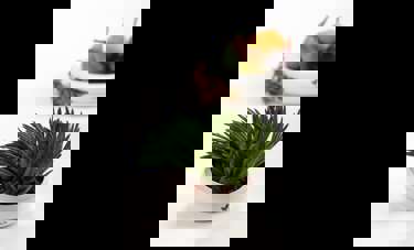 BIOSENSOR | אביגיל דור