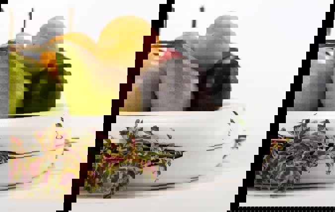 BIOSENSOR | אביגיל דור