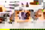 Chewp | בת-חן גריבסקי
