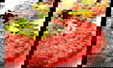 כנס בוגרי החוג למדעי בריאות הסביבה, יוני 2014