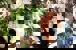 כנס בוגרי החוג למדעי בריאות הסביבה, יוני 2014