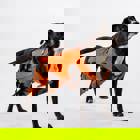 הגשות פרוייקט גמר עיצוב תעשייתי