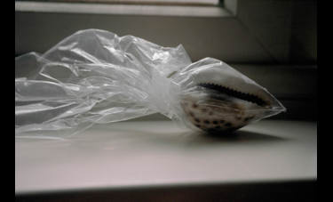 אדית ינאי | מים מתוקים