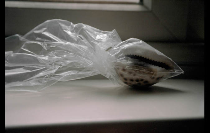 אדית ינאי | מים מתוקים