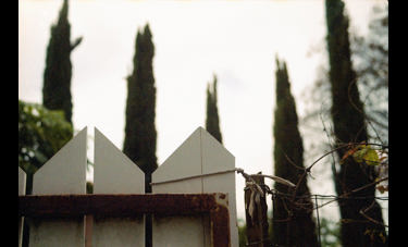 אדית ינאי | מים מתוקים