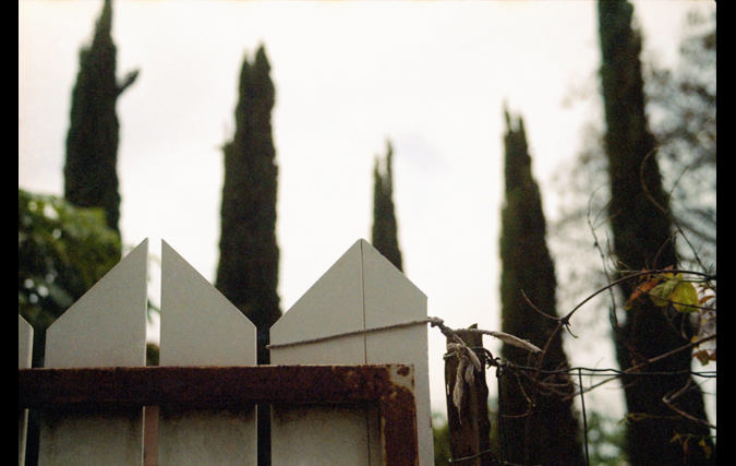 אדית ינאי | מים מתוקים