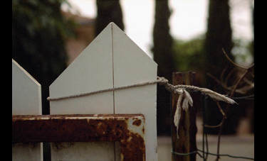 אדית ינאי | מים מתוקים