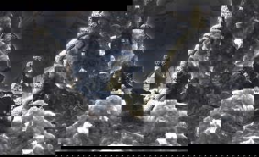 אורן אוחיון | המנצח בנגינות