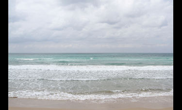 גבריאל ווינברגר