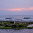 סמינר בנושא חקירה ושיקום קרקעות מזוהמות