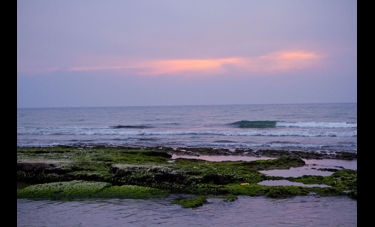 גבריאל ווינברגר