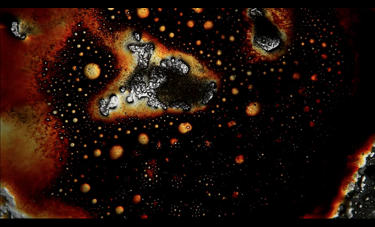 דניאל שכטר | GLUCOSE