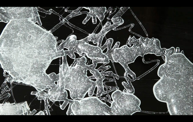 דניאל שכטר | GLUCOSE