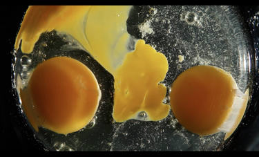 דניאל שכטר | GLUCOSE