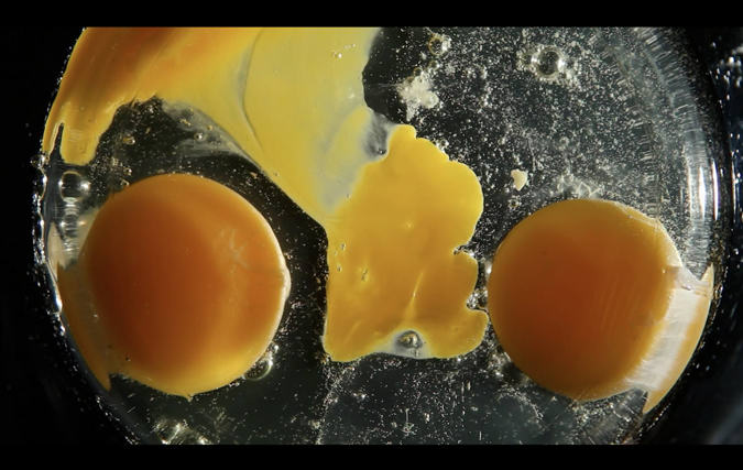 דניאל שכטר | GLUCOSE