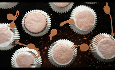 דניאל שכטר | GLUCOSE