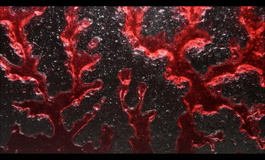 דניאל שכטר | GLUCOSE