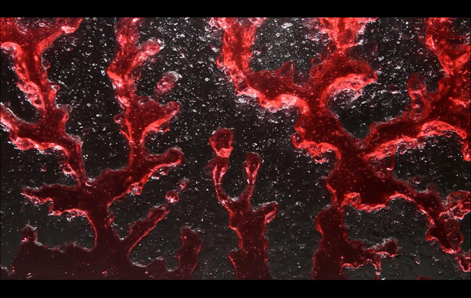 דניאל שכטר | GLUCOSE