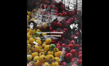 דניאלה רדין | זיכרון מדומה