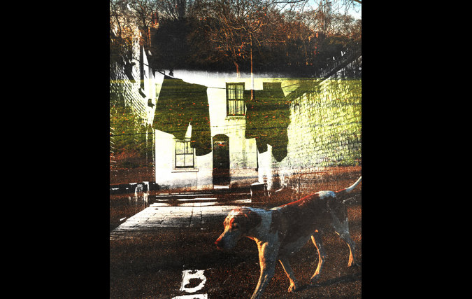 דניאלה רדין | זיכרון מדומה