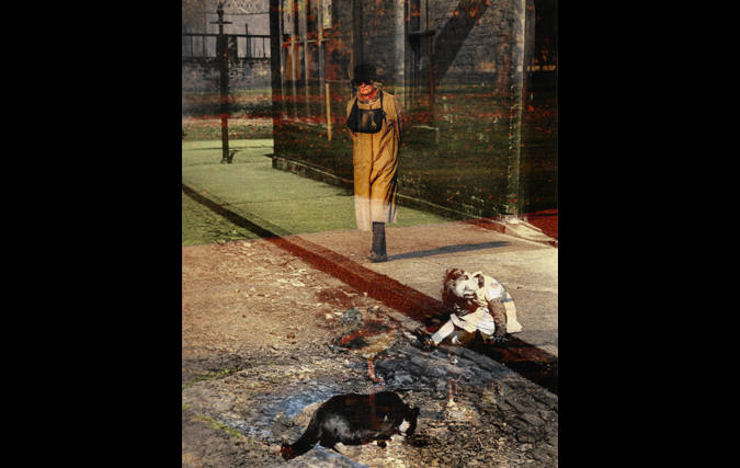 דניאלה רדין | זיכרון מדומה