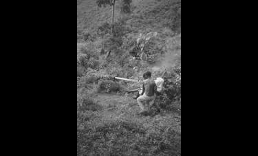 נועם שוג'נובסקי