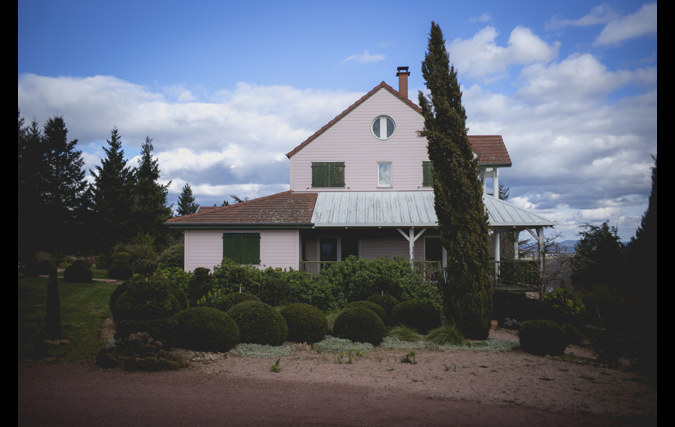 נועם שוג'נובסקי