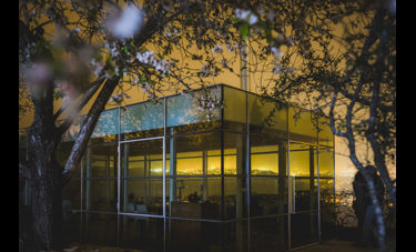 נועם שוג'נובסקי