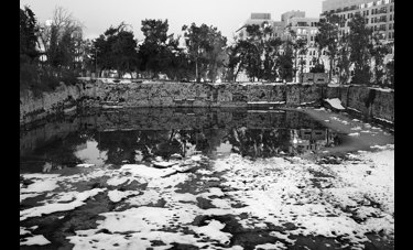 נועם שוג'נובסקי