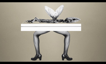 נופר קפלן | היברידיים  