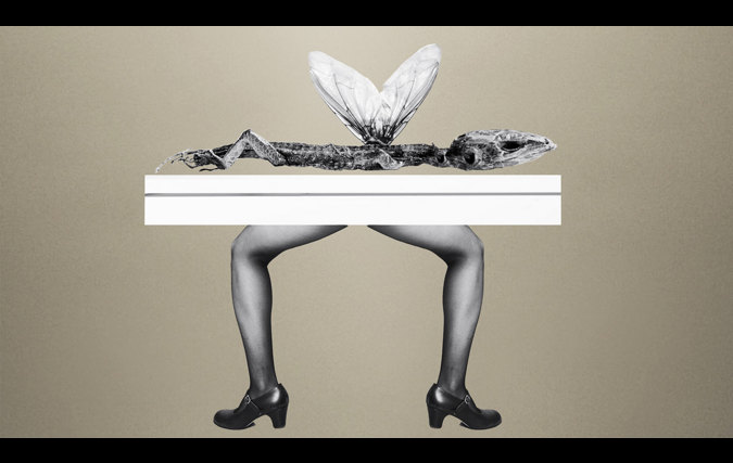 נופר קפלן | היברידיים  