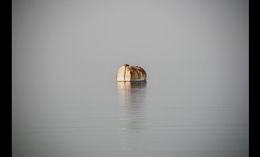 ניצן בקשי | היקסמות