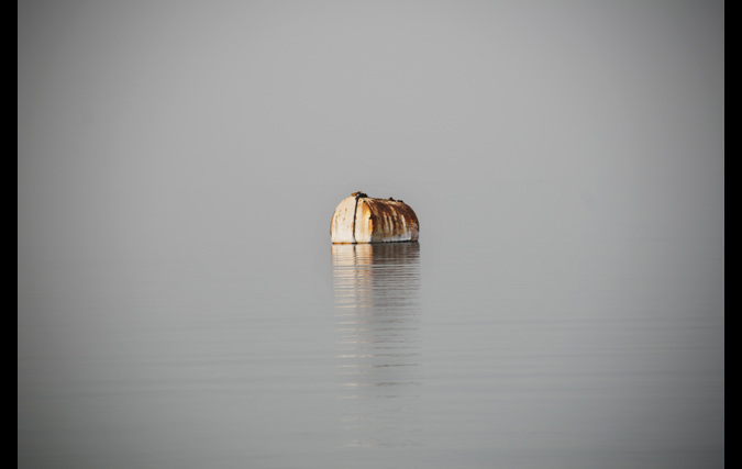 ניצן בקשי | היקסמות