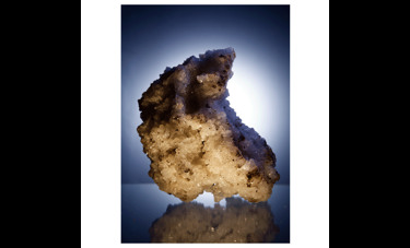 ניצן בקשי | היקסמות