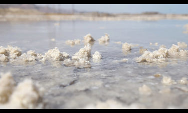 ניצן בקשי | היקסמות