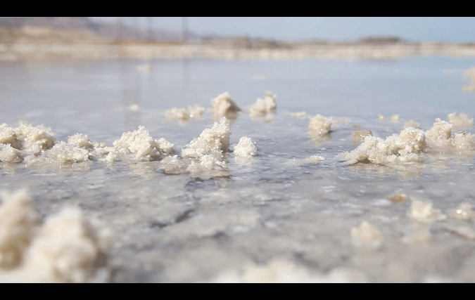 ניצן בקשי | היקסמות
