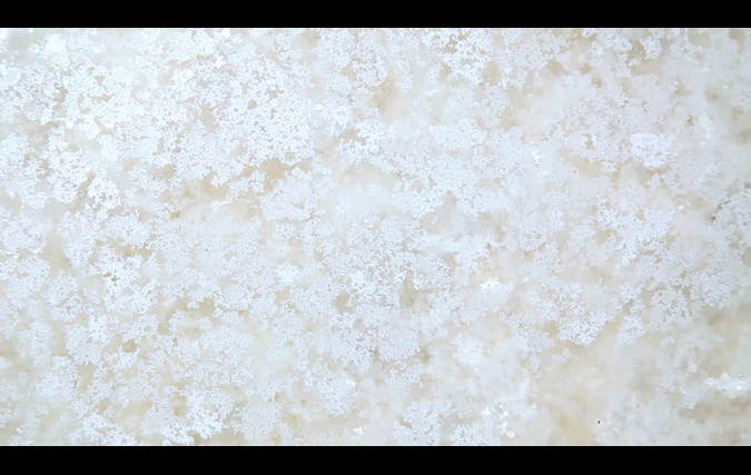 ניצן בקשי | היקסמות