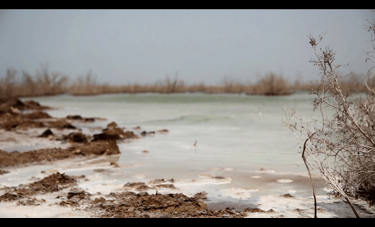 ניצן בקשי | היקסמות