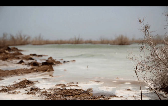 ניצן בקשי | היקסמות