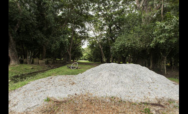 ראובן בן חיים | גרסת הצופה