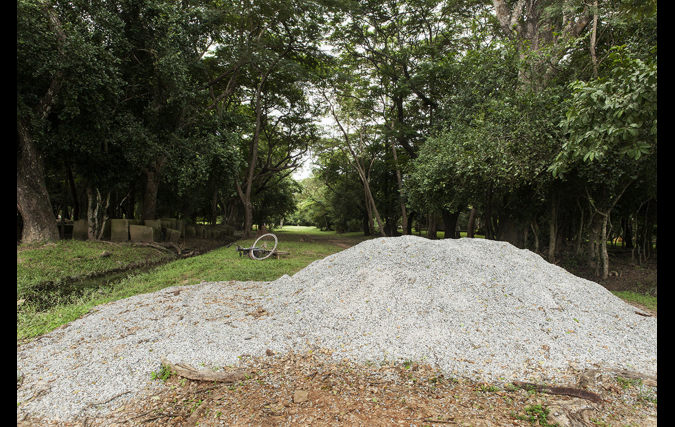 ראובן בן חיים | גרסת הצופה